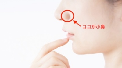 鼻 を 小さく する 方法 中学生